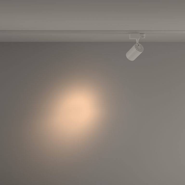 Фото TR029-3-10W3K-S-W - 11