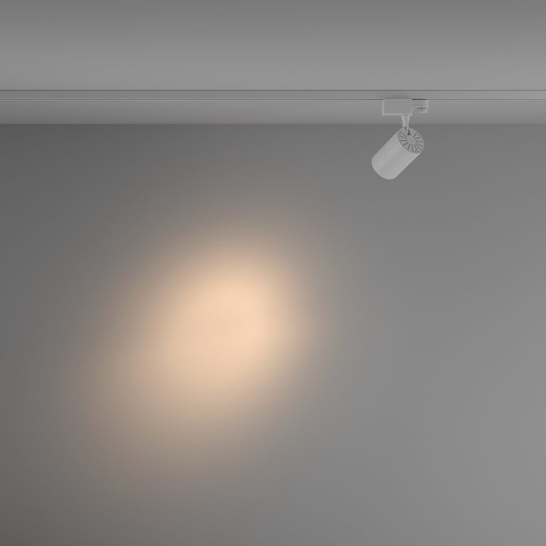 Фото TR029-3-10W3K-S-W - 4