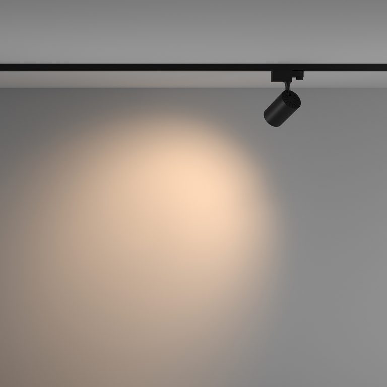 Фото TR029-3-10W3K-W-B - 4