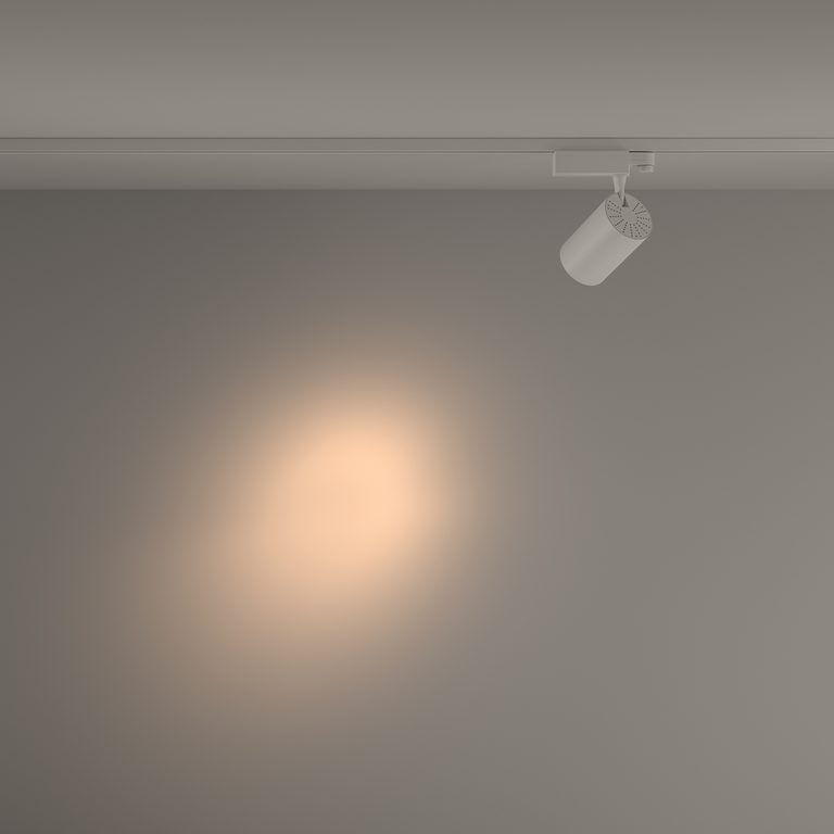 Фото TR029-3-20W3K-S-W - 10