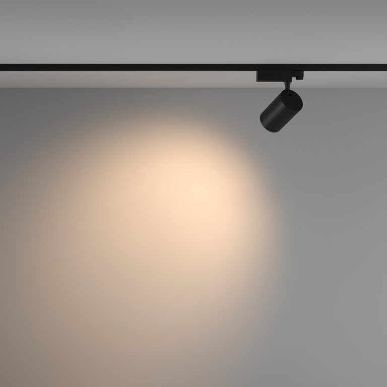 Фото TR029-3-20W3K-W-B - 4