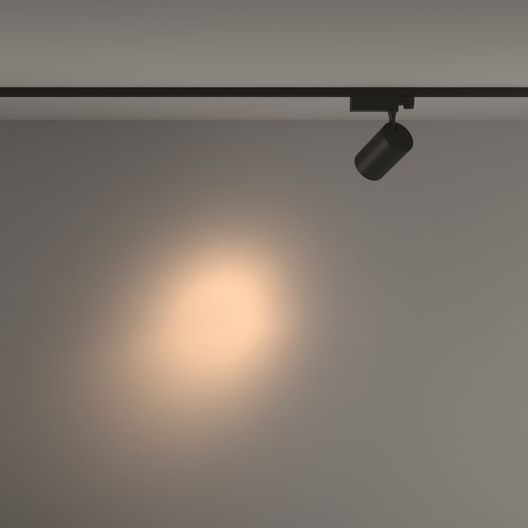 Фото TR029-3-26W3K-S-B - 10