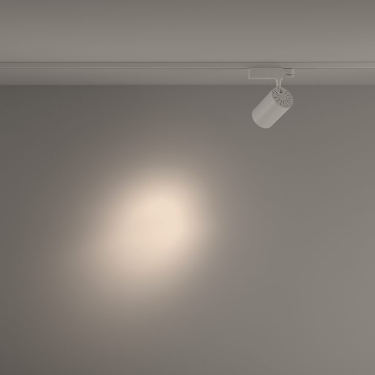 Фото TR029-3-26W4K-S-W - 10