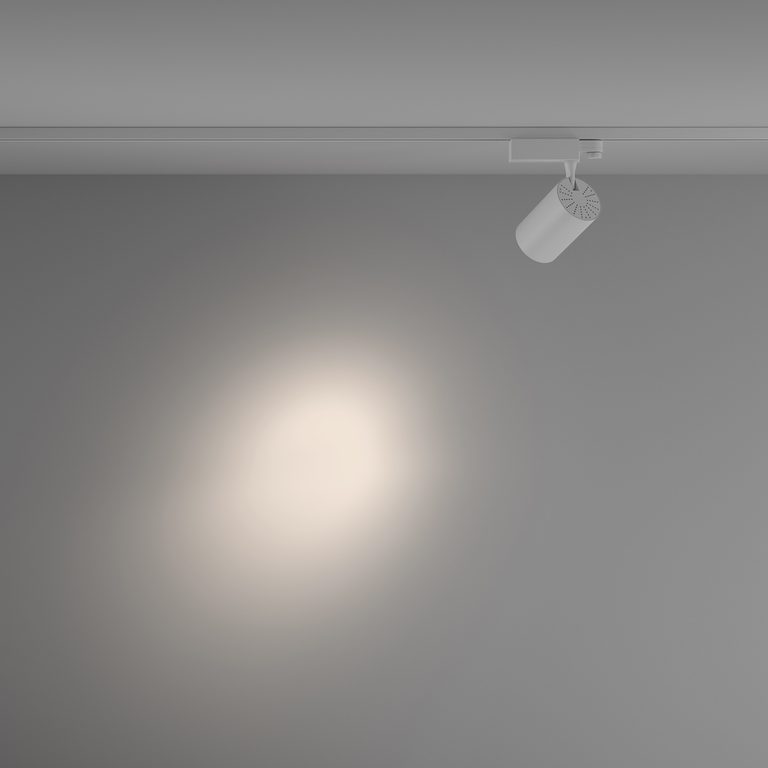 Фото TR029-3-26W4K-S-W - 4