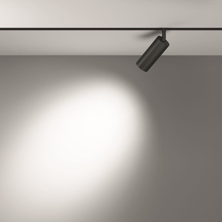 Фото TR032-2-12W4K-S-B - 10