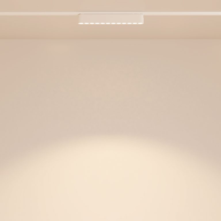 Фото TR082-1-12W3K-M-W - 12