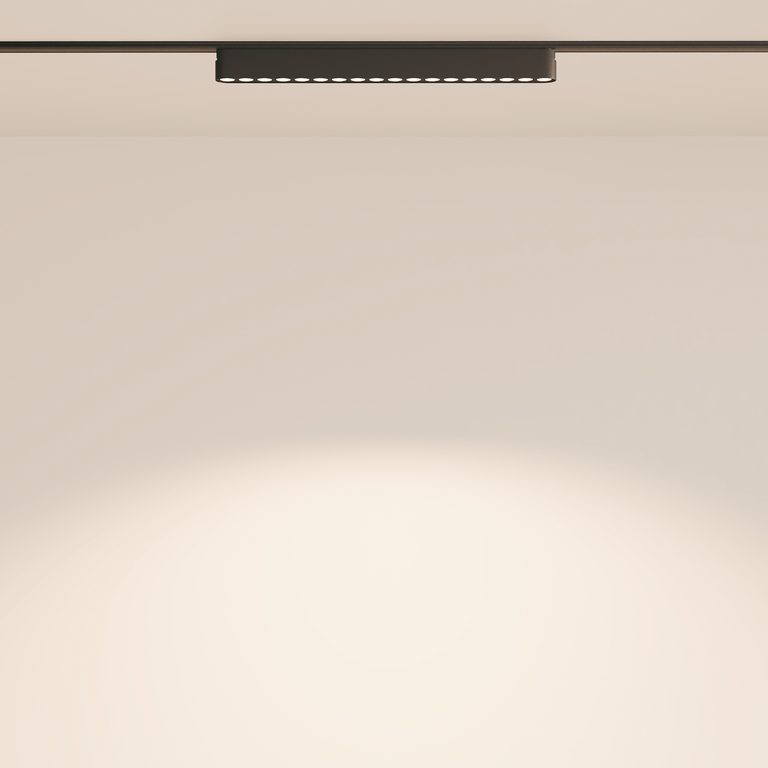 Фото TR082-1-18W4K-M-B - 12