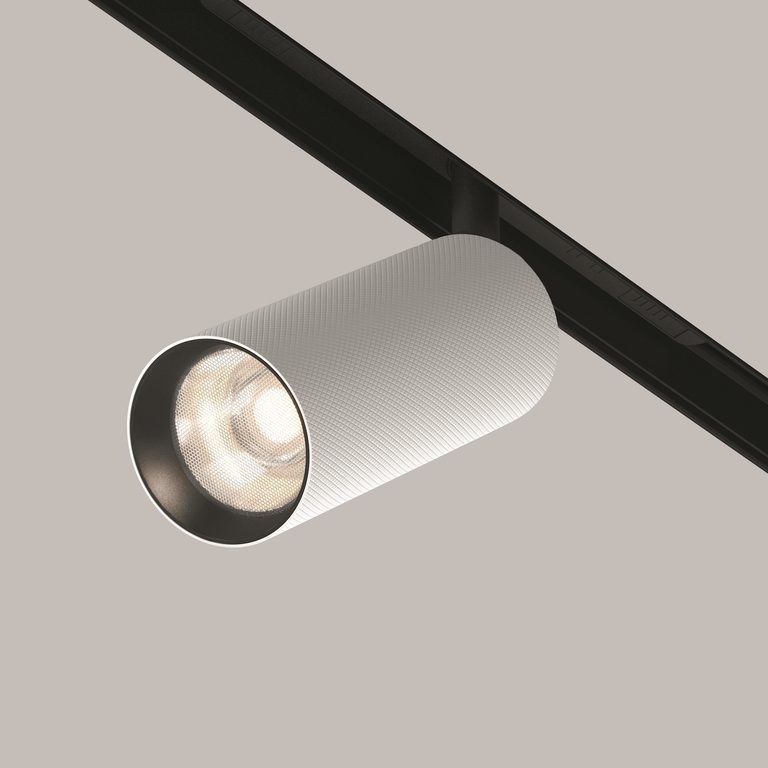 Фото TR097-2-12W4K-M-BW - 16