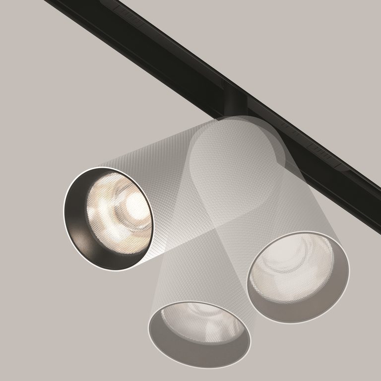 Фото TR097-2-12W4K-M-BW - 18