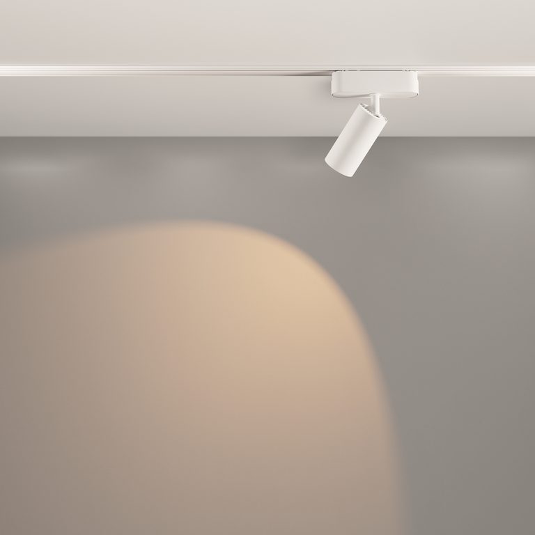 Фото TR103-1-12W3K-M-W - 14