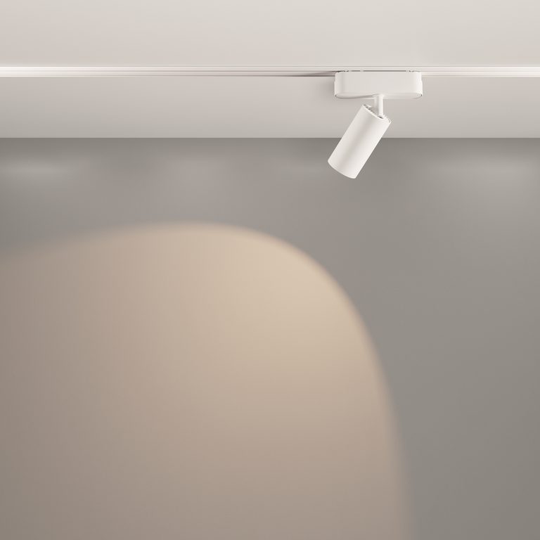 Фото TR103-1-12W4K-M-W - 14