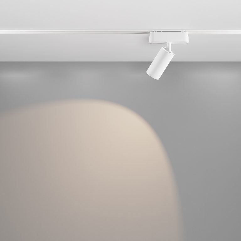 Фото TR103-1-12W4K-M-W - 5