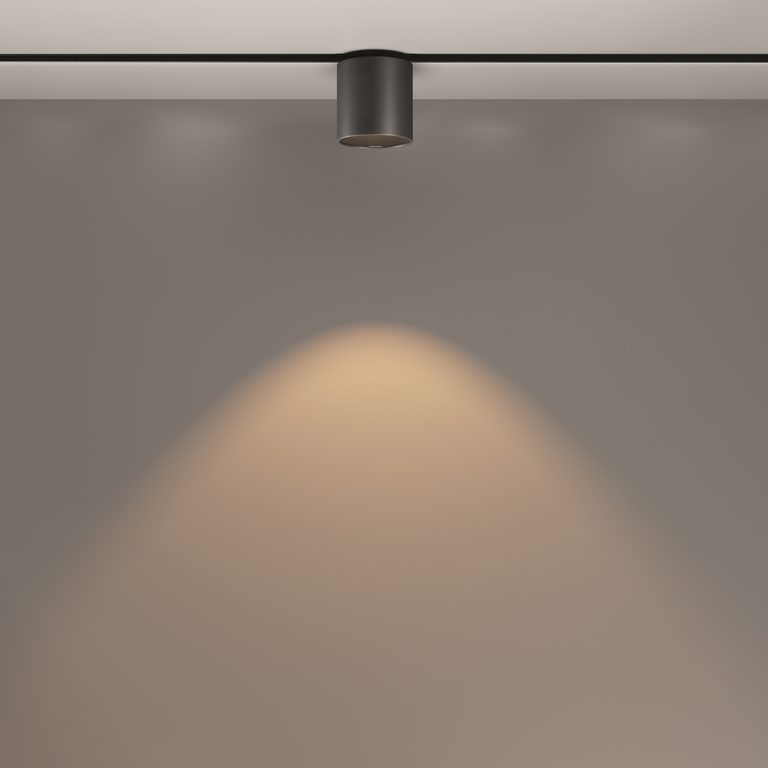 Фото TR132-2-7W3K-B - 13