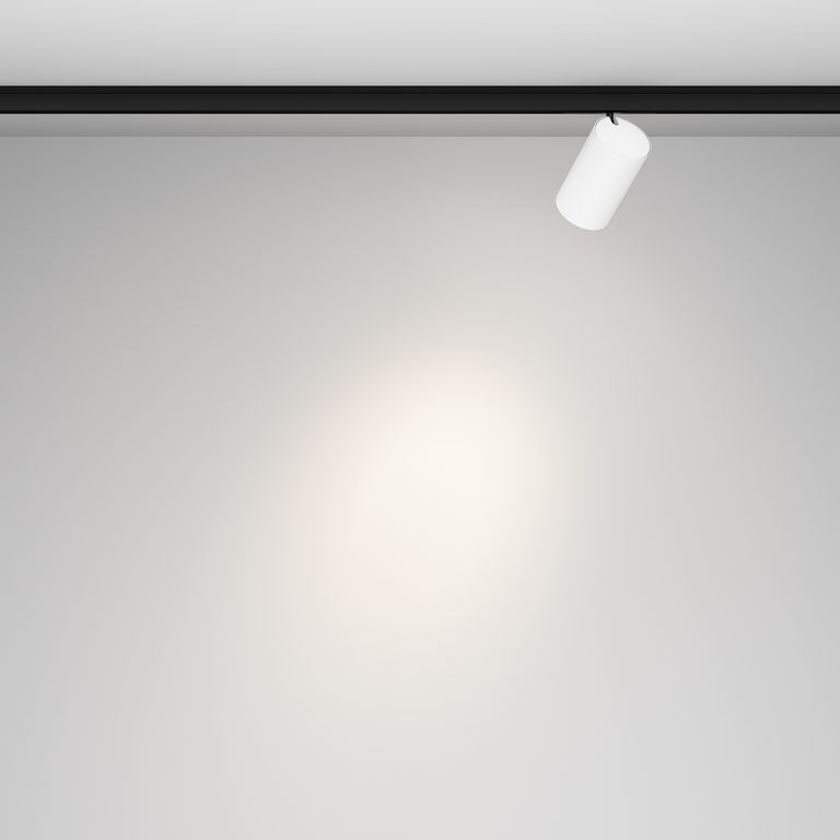 Фото TR187-1-5W4K-M-BW - 5