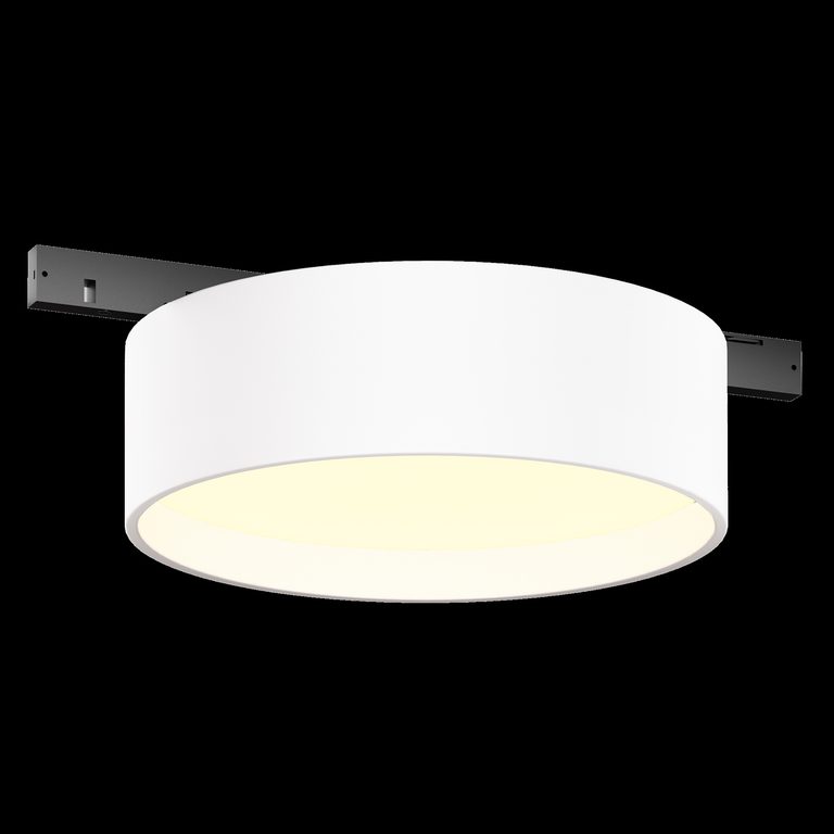 Фото TR189-1-12W3K-BW - 9