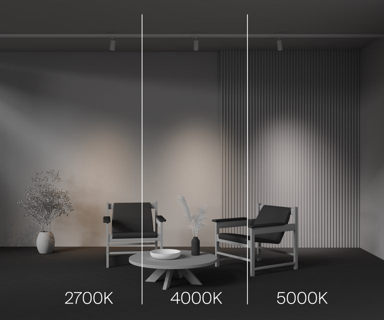 Фото TR197-3-12WCCT-M-W - 9