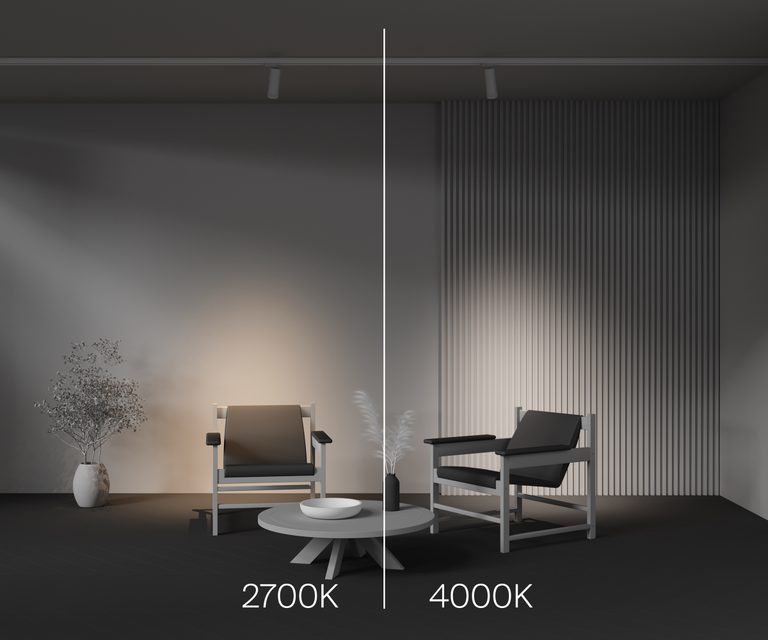 Фото TR198-3-20W4K-Z-W - 7