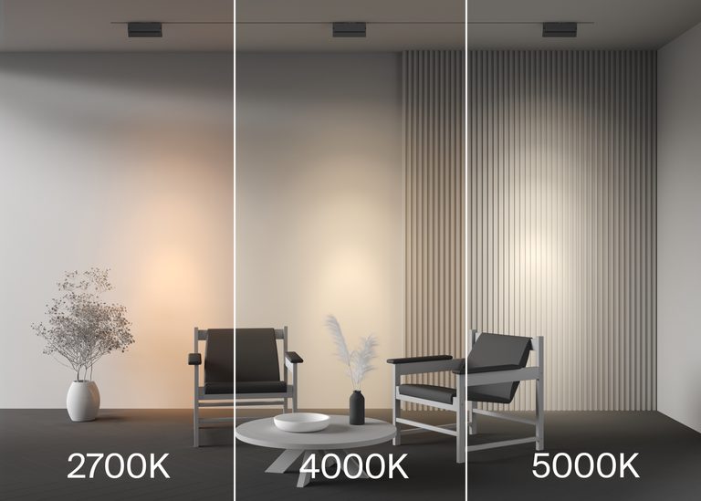 Фото TR223-1-12WCCT-W-B - 4