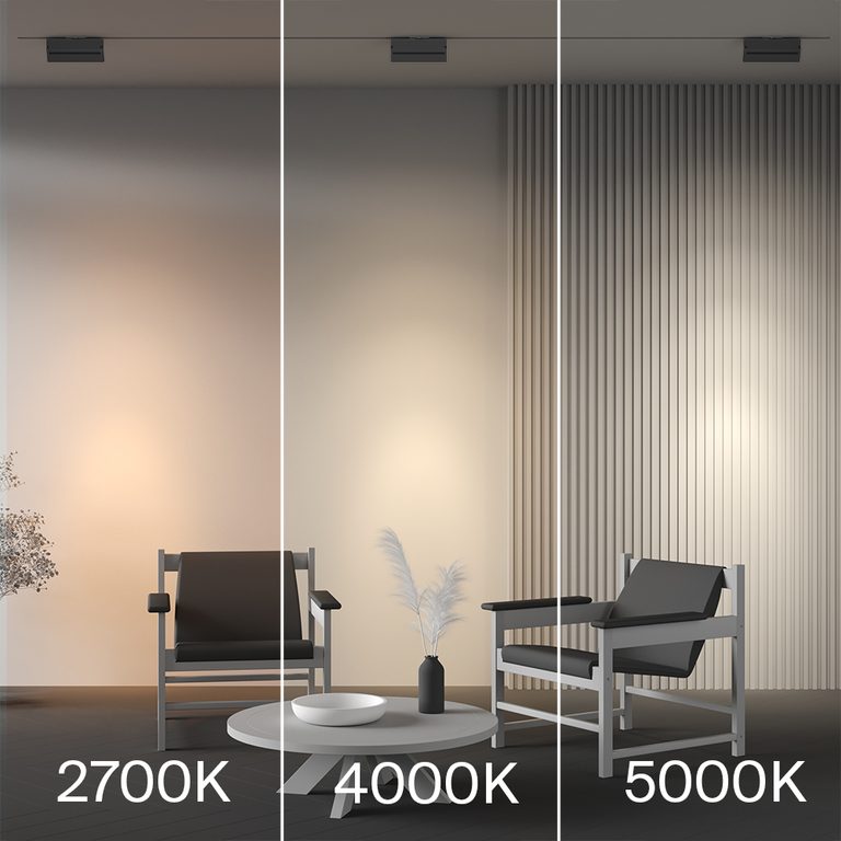 Фото TR224-1-12WCCT-M-B - 3