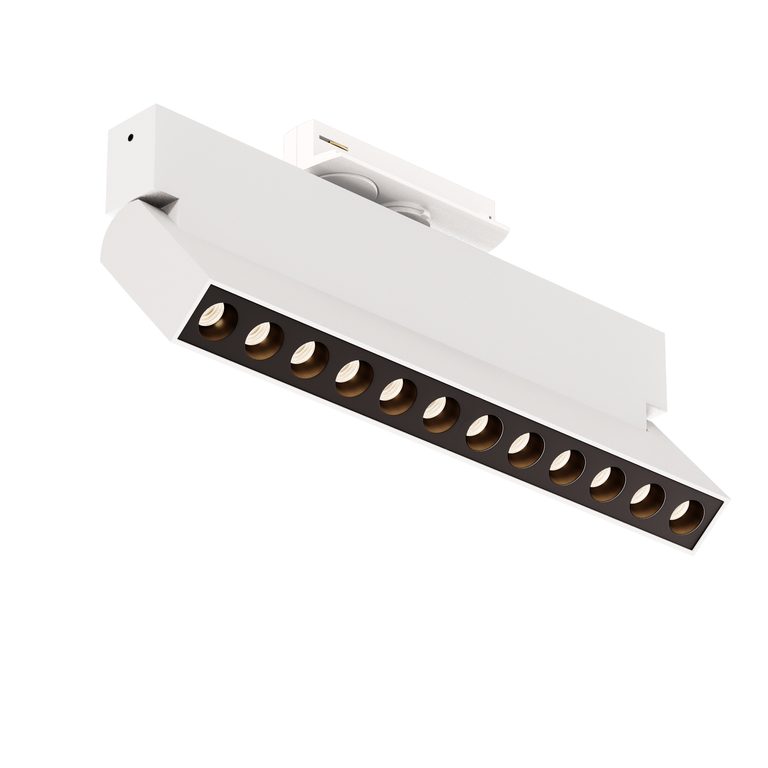 Фото TR224-1-12WCCT-M-W - 1