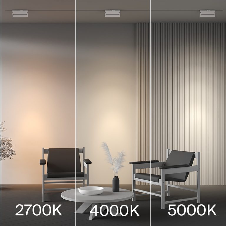 Фото TR224-1-12WCCT-M-W - 3