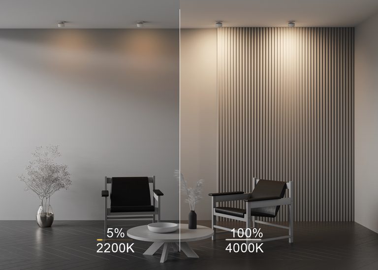 Фото DL024-12W-DTW-W - 10