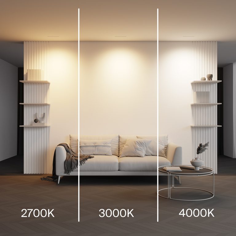 Фото DL100-12W2.7-3-4K-W - 5