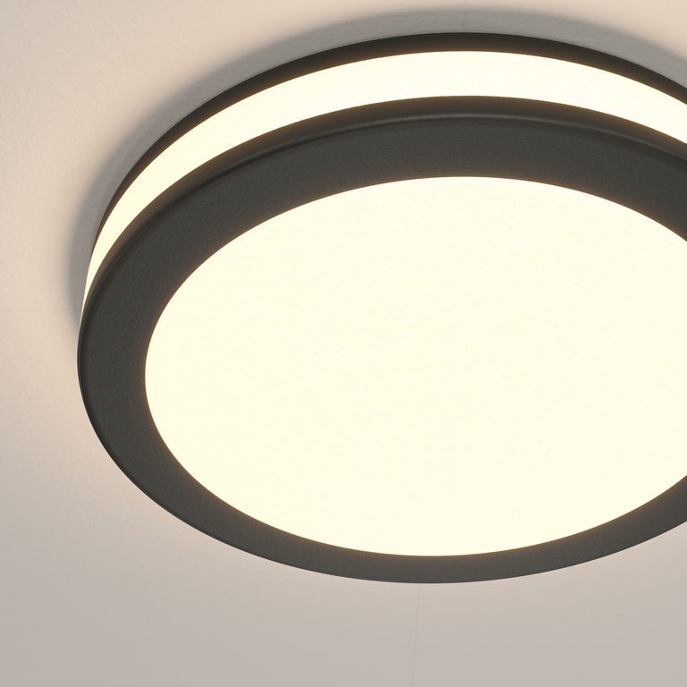 Фото DL303-L12B - 11