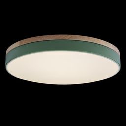 Фото 10001/36 Green - 2