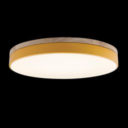 Фото 10001/36 Yellow - 2