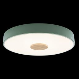 Фото 10003/24 Green - 2