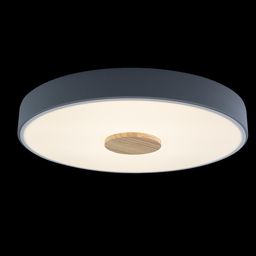 Фото 10003/24 Grey - 2