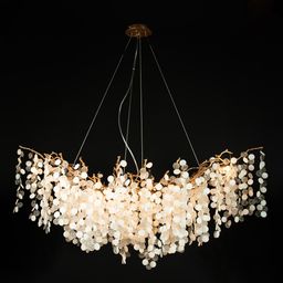 Фото 10066/1200 GB - 2