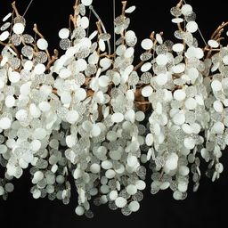 Фото 10066/1200 GB - 5