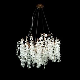 Фото 10066/800 GB - 3