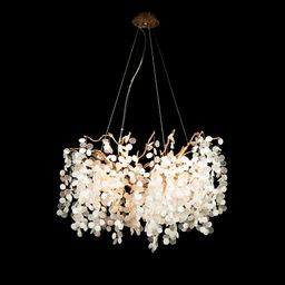 Фото 10066/800 GB - 4