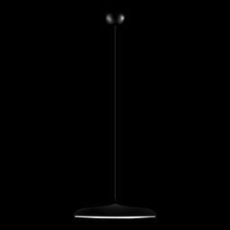 Фото 10119 Black - 2