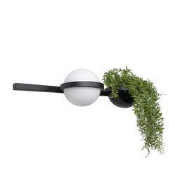 Фото 10121W/A - 3