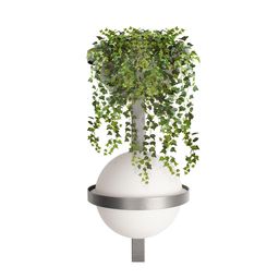 Фото 10121W/B Dark grey - 1