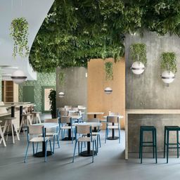 Фото 10121W/B Dark grey - 5