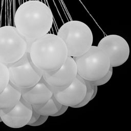 Фото 10129/1000 - 5