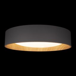 Фото 10202 Grey - 4