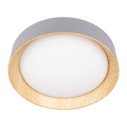 Фото 10202 Grey - 5