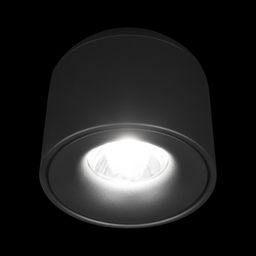 Фото 10219 Black 4000K - 2