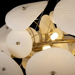 Фото 10234/800 - 5