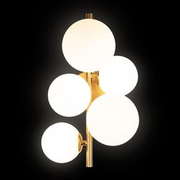 Фото 10236/5W - 2