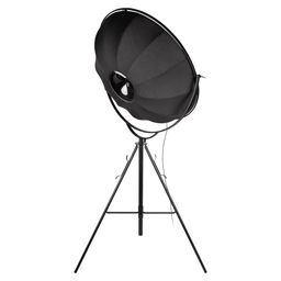 Фото 10301/L - 5