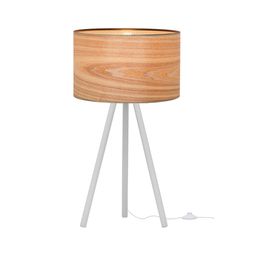 Фото 1700-TWH+SW - 1