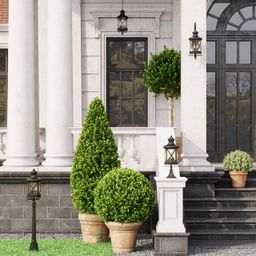 Фото 4045/3F - 3