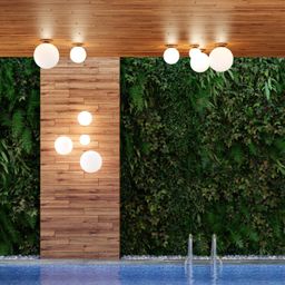 Фото 4247/1C - 3